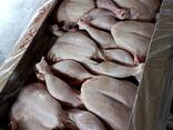 Куры тушки ЦБ бройлер оптом - photo 2