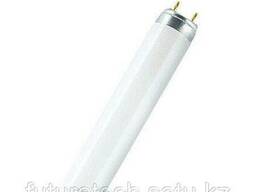 L36W/640 T8 Osram (25)*