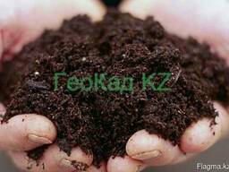 Лабораторный анализ грунтов