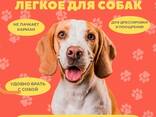 Лакомство для собак - фото 2