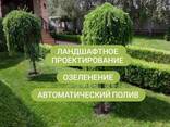 Ландшафтное проектирование. Озеленение - фото 1