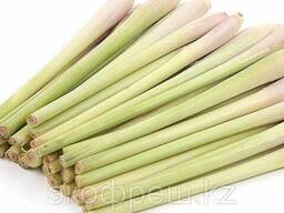 Лемонграсс свежий 100 гр