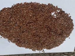 Лен на масло масличный (масло 44% сора 2 влага 7) на элеваторе