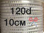 Лента светодиодная SMD 2835 220 v. Лента для улицы - фото 1