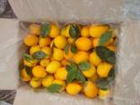 Лимон - фото 3