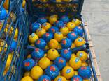 Лимон Турция - фото 2