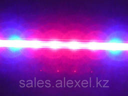 Линейная фитолампа 60 см красный синий 4:1