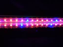 Линейная фитолампа двухрядная v-образная красный синий 5:1