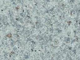 Линолеум полукоммерческий Tarkett Moda (защ. 0,5 мм)