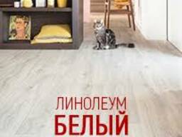 Линолеум S-Life Коммерческий , 2м х 30м (Корея)