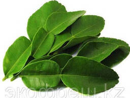 Листья каффир лайма свежие 100 г