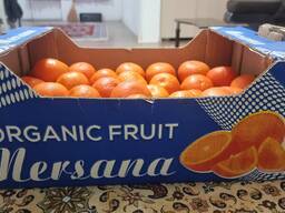 Логистика из Ирана