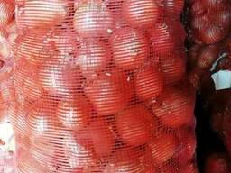 Лук в сетках