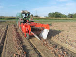Луковый копатель IMAC (Италия) с вращающимся выкапывающим валом - фото 1