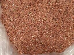 Закупаем ЛЁН