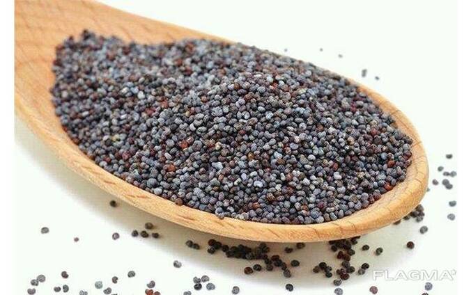 Мак кондитерский (Чехия)