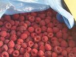 Малина замороженная (Республика Беларусь) - photo 1