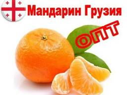 Мандарин Грузия урожай 2021 г.