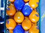 Мандарины экспорт из Турции - photo 3