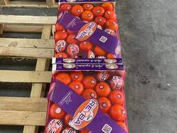 Мандарины из Ирана