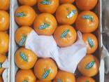 Мандарины Пакистан - фото 1