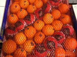 Марокканские мандарины