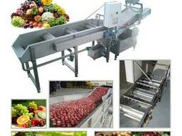 Машина для мойки фруктов