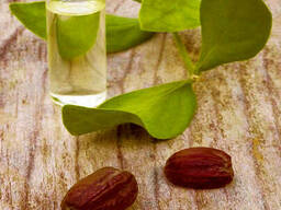 Масло Жожоба бесцветное, холодного отжима, нерафинированное