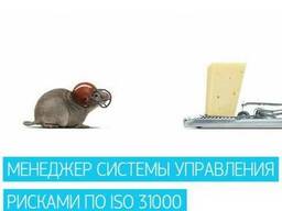Онлайн-курс Менеджер системы управления рисками по с ISO 31000:2018