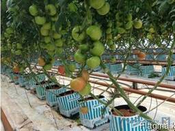 Мешочки для гроупота размер 24х24х40см.