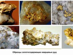 Месторождение золота (кварцевые жилы россыпь)