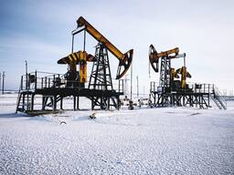 Месторождения нефти, бокситов, меди и золота в Казахстане