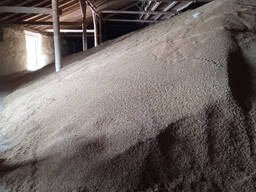 Milling wheat 3rd class, origin Republic of Kazakhstan, crop 2021