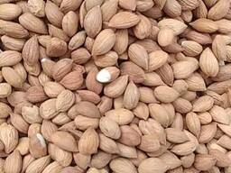 Миндаль абрикосовой косточки