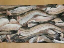 Минтай с/м 25 , 35