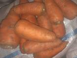 Морковь - фото 1