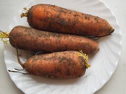 Морковь оптом