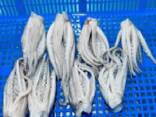 Мороженные морепродукты и рыба в Казахстан от завода из Китая - photo 1