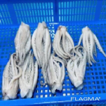 Мороженные морепродукты и рыба в Казахстан от завода из Китая