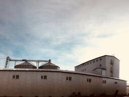 Мука оптом от производителя