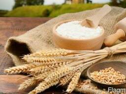 Мука первого сорта