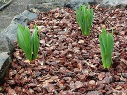 Мульча. Кора сосны