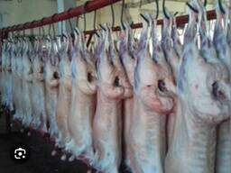 Мясо баранины охлажденное, Халял из Казахстана