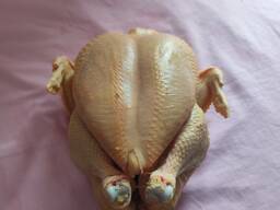 Мясо домашней курицы ( бройлер)