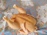 Мясо домашней курицы ( бройлер) - photo 6
