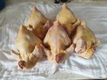 Мясо домашний курицы - фото 1