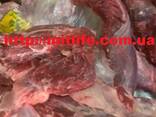 Мясо Говядина без кости Украина fca cif fob daf LLC Mitlife - фото 1