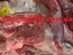 Мясо Говядина без кости Украина fca cif fob daf LLC Mitlife