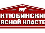 Мясо говядины - фото 1