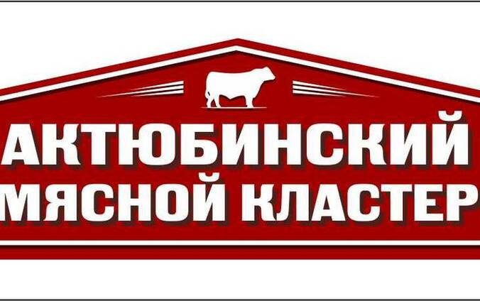 Мясо говядины